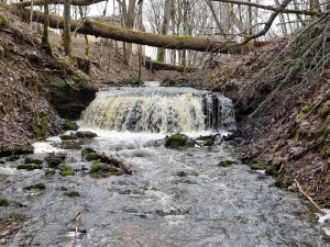 Nurmižu ūdenskritums, 2024. gada februāris