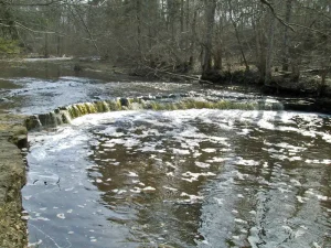 Riežupes ūdenskritums, 2001. gada aprīlis