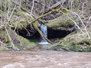 Trejrumbiņas apakšējā pakāpe, 2023. gada marts