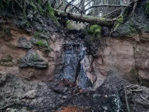 Mazrendas ūdenskritums, 2024. gada marts