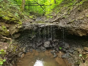 Pūču gravas ūdenskritums, 2024. gada jūnijs