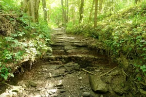 Zviedrugrāvja ūdenskritums 2008. gada jūnijā