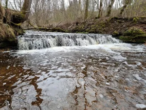 Grūbas apakšējais ūdenskritums, 2024. gada aprīlis