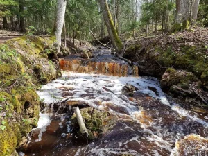 Kalamecu ūdenskritums, 2024. gada aprīlis