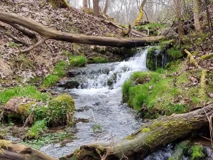 Septiņavotu Augšējais ūdenskritums. 2024. gada aprīlis
