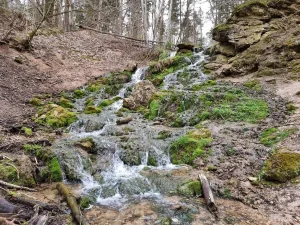 Septiņavotu Lielais ūdenskritums. 2024. gada aprīlis