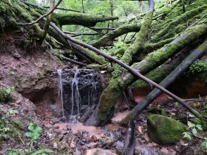 Sateseles gravas ūdenskritums 2024. gada jūlijā