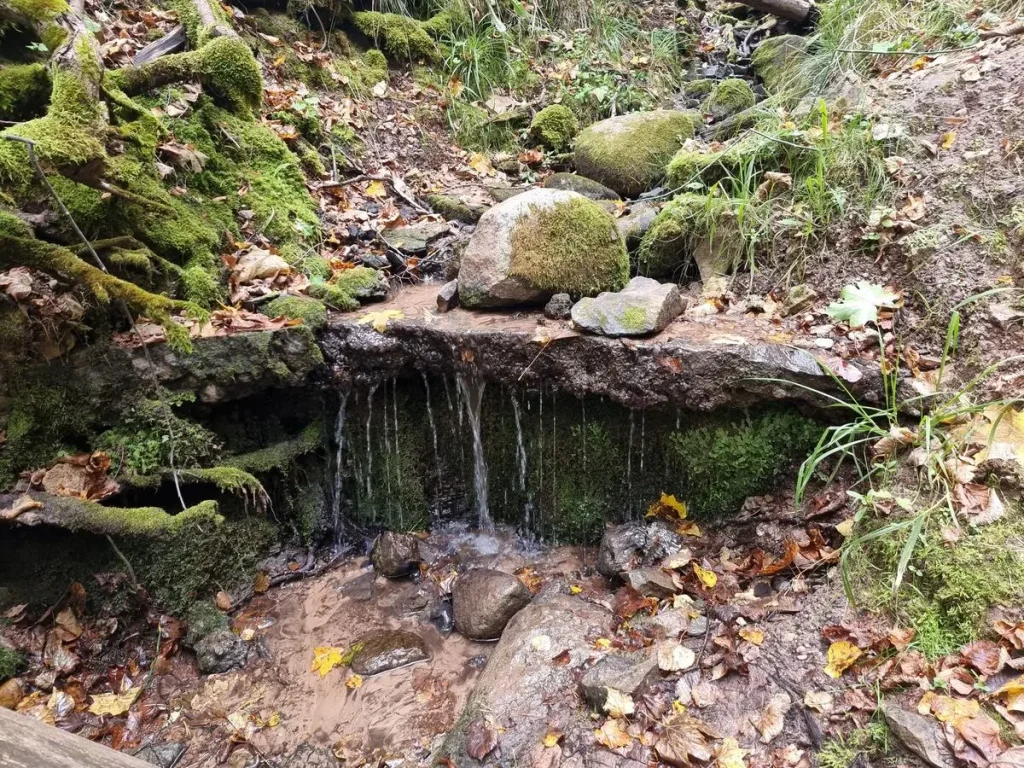 Kārļu gravas ūdenskritumiņš. 2024. gada septembris.