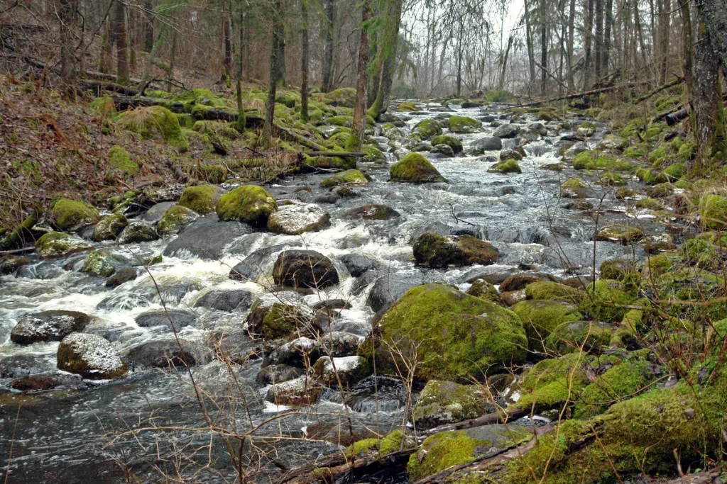 Nāružas Velna grāvis. 2008. gada marts.