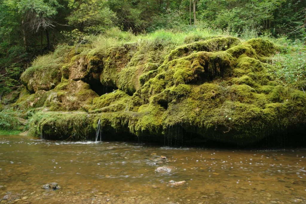 Raunas Staburags. 2008. gada augusts.