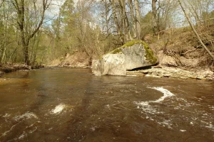Žākļu dižakmens. 2008. gada maijs