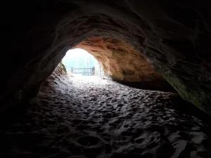 Kalēja ala (Kalējala). 2025. gada marts.