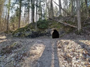 Kubeseles ala. 2025. gada marts.