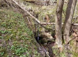 Lūrmaņu avots un ūdenskritums. 2025. gada aprīlis.