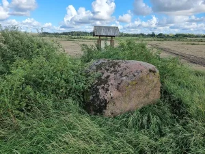 Padambju bedrīšakmens. 2021. gada augusts.