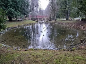 Smardones avots. 2024. gada decembris.