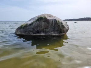 Grīļu akmens. 2025. gada aprīlis.