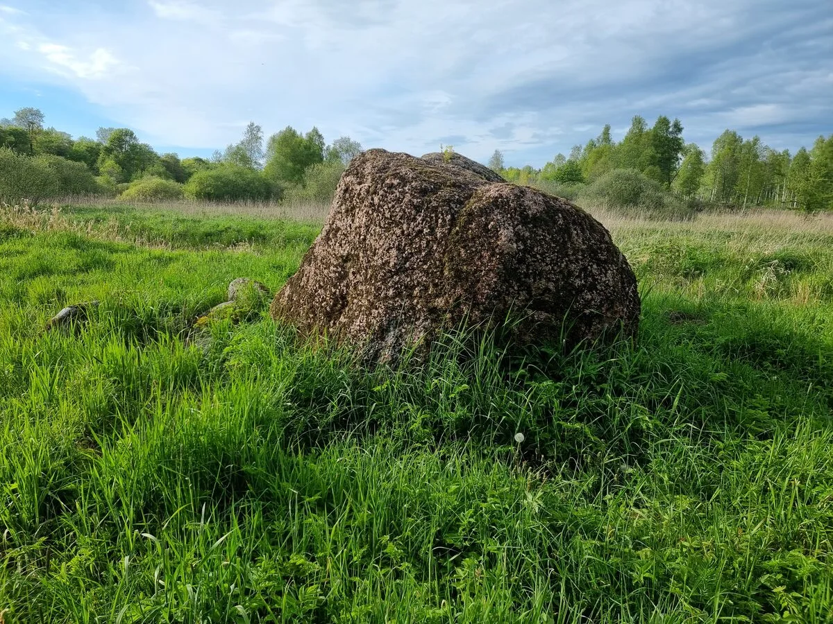 Kapsēdes Rudais akmens. 2025. gada maijs.