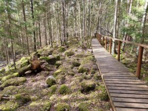 Kārdūžkalva. 2025. gada aprīlis.