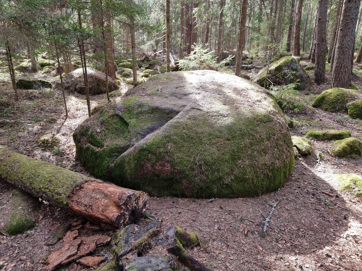 Kārdūžkalva, liels akmens. 2025. gada aprīlis.