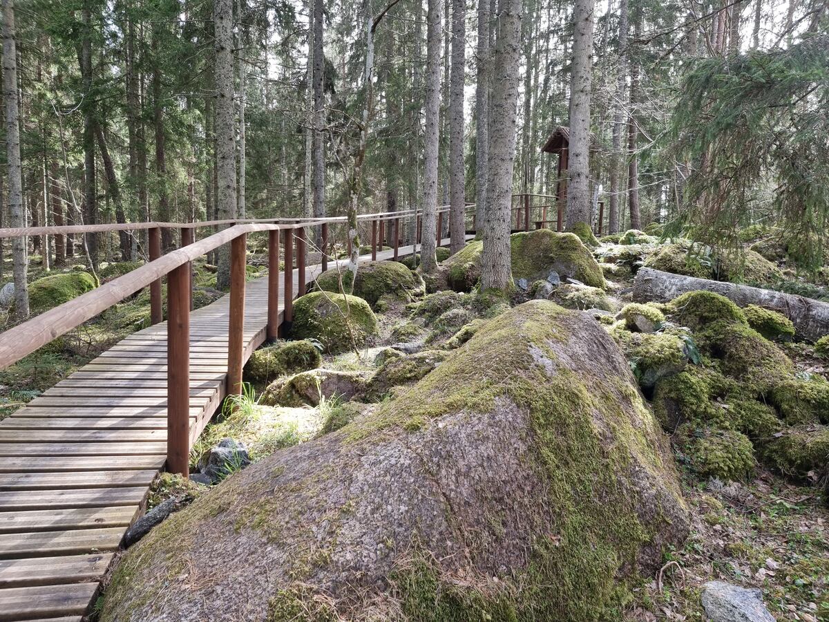 Kārdūžkalva. 2025. gada aprīlis.