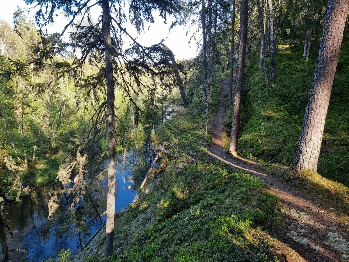 Taka virs Ramātu klintīm. 2025. gada maijs.