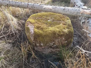 Zibeņdambja Saules akmens. 2025. gada aprīlis.