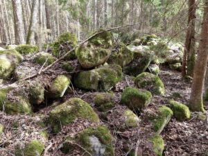 Velna kalva. 2025. gada aprīlis.