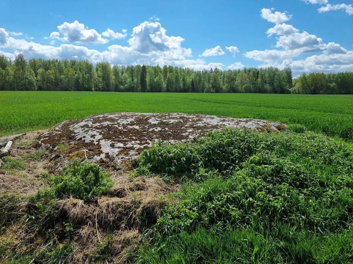 Cērpenes dižakmens. 2025. gada maijs.