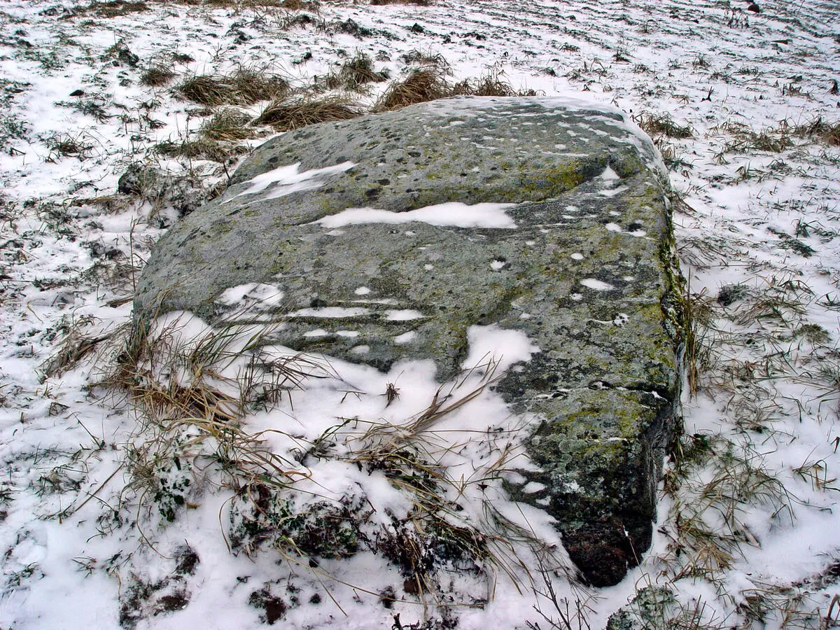 Elekšu bedrīšakmens. 2003. gada janvāris.