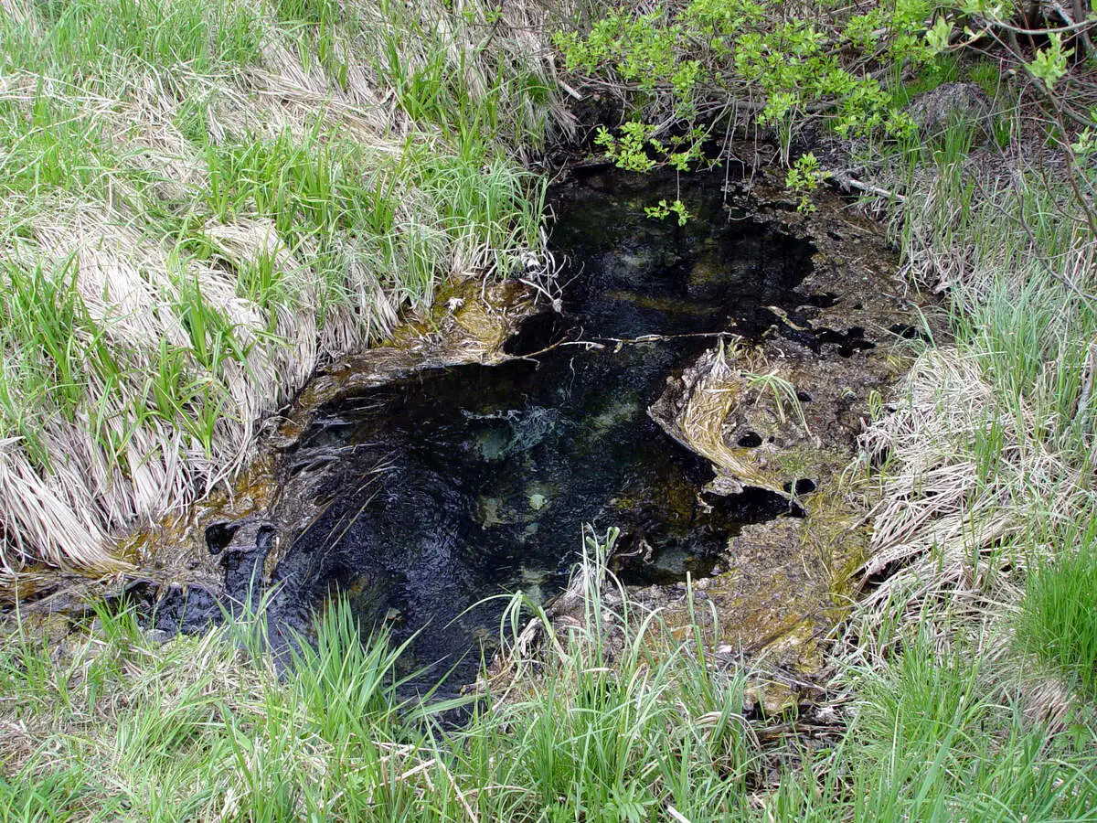 Kalnavēnu avots. 2003. gada maijs.