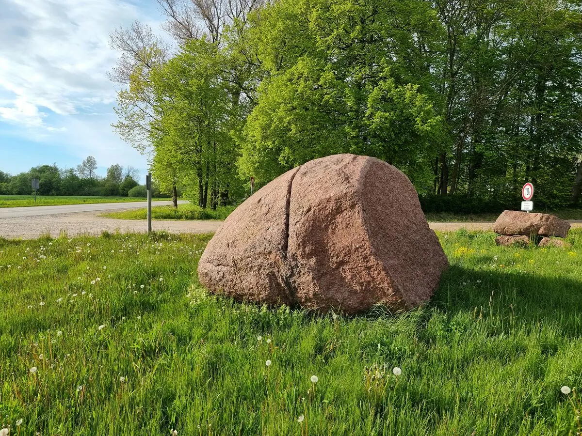 Odziņu bedrīšakmens. Redzama gan rieva akmens sadalīšanai, gan virsma, pa kuru jau atdalīta daļa akmens. 2025. gada maijs.
