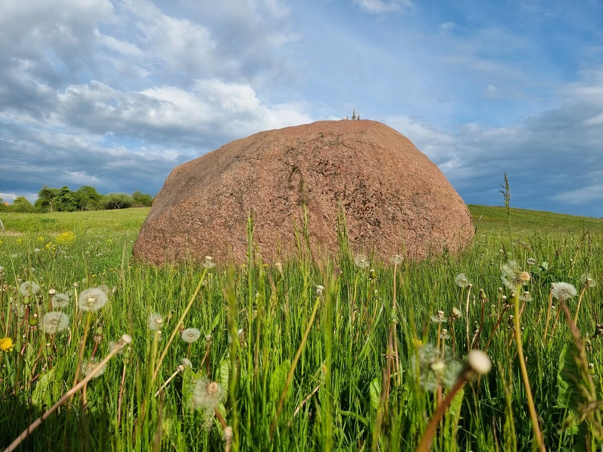 Odziņu bedrīšakmens. 2025. gada maijs.