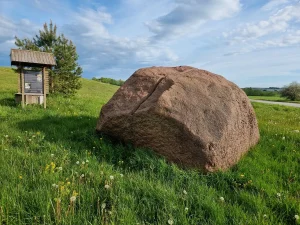 Odziņu bedrīšakmens. 2025. gada maijs.