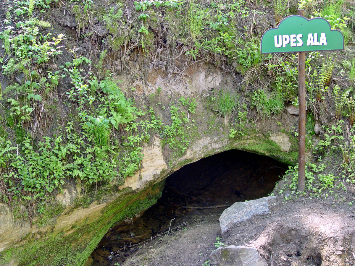 Patiltes ala. 2004. gada maijs.