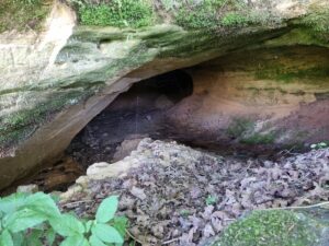 Patiltes ala. 2025. gada jūnijs.