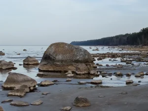 Rojas dižakmens. 2025. gada aprīlis.