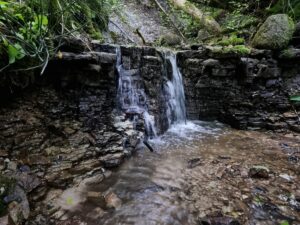 Šķeperu strauta apakšējā ūdenskrituma kāple. 2025. gada jūnijs.