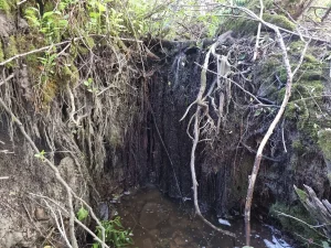 Šķeperu strauta augšējais ūdenskritums. 2025. gada jūnijs.