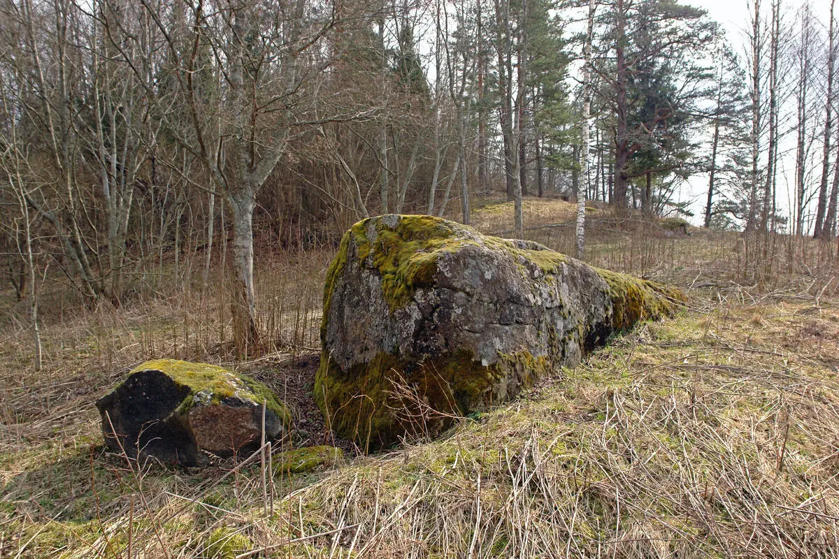 Stupeļu pilskalna akmens. 2008. gada aprīlis.