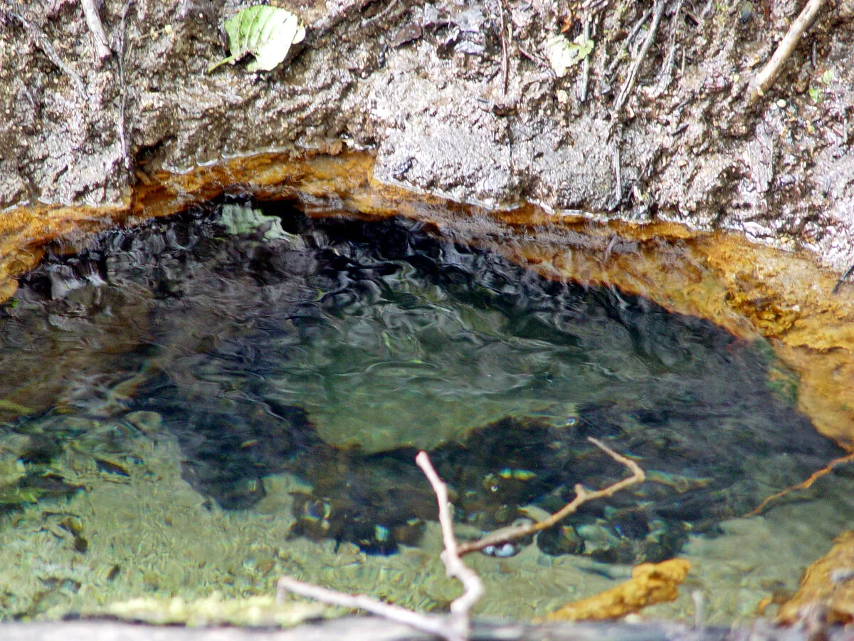 Lielākais Vecmelderu avots. 2004. gada maijs.