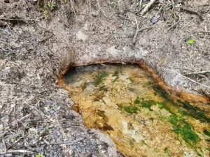 Lielākais Vecmelderu avots. 2025. gada maijs.