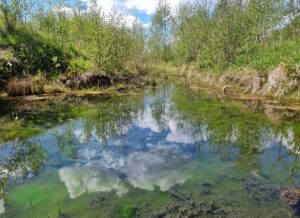 Elkuzemes Zaļā acs. 2025. gada maijs.