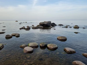 Cālīšu jūrakmens jeb Ķirķraga dižakmens. 2025. gada aprīlis.