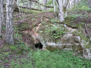 Zīļu ala. 2025. gada jūnijs.