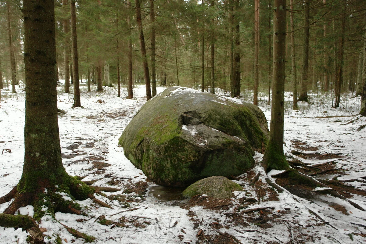 Černausku akmens ar atlūzu. 2008. gada marts.