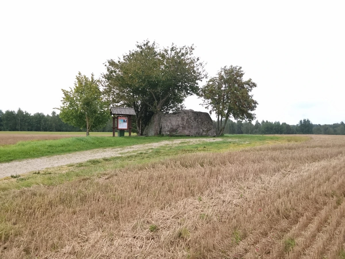 Tilgaļu milzakmens. 2025. gada septembris.