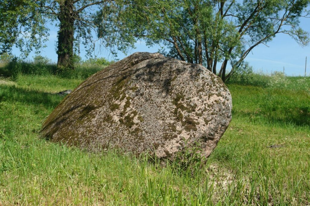 Kraukļu akmens. 2008. gada jūnijs.