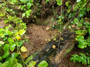 Kuprainīša avotiņš. 2025. gada septembris.