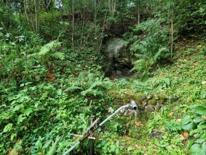 Mergupes Liepavotu avots, fonā - smilšakmens atsegums. 2025. gada septembris.